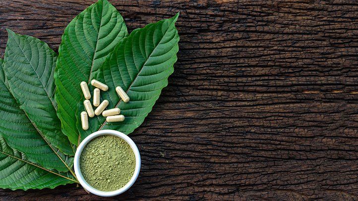 Guide to Using Strains of Kratom for Aspiring Users