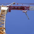 How do cranes work and what are their uses?