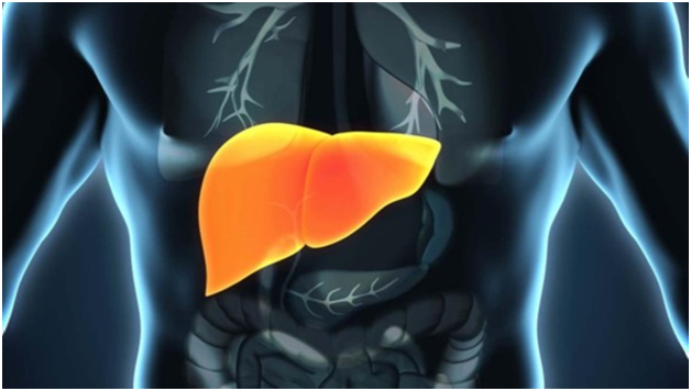 How Can You Naturally Lose the Fat That is on Your Liver?