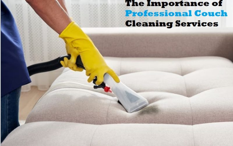 The Importance of Professional Couch Cleaning Services