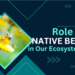 Role of Native Bees in Our Ecosystems